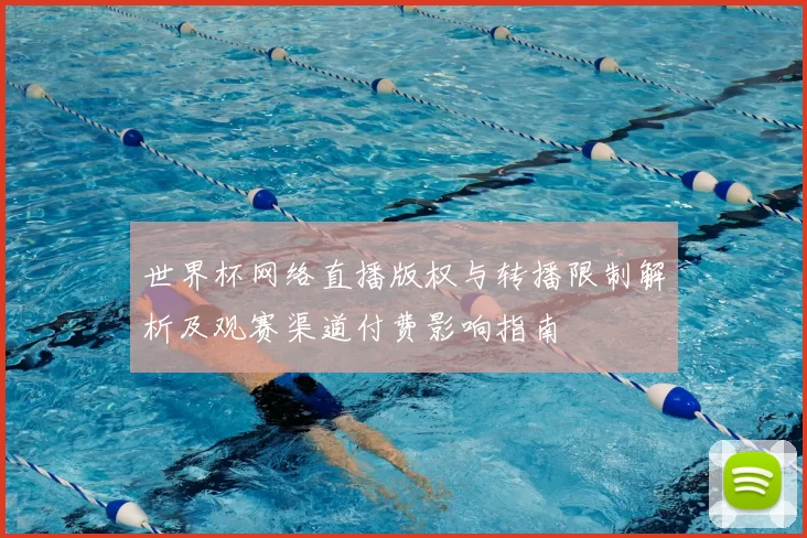 世界杯网络直播版权与转播限制解析及观赛渠道付费影响指南