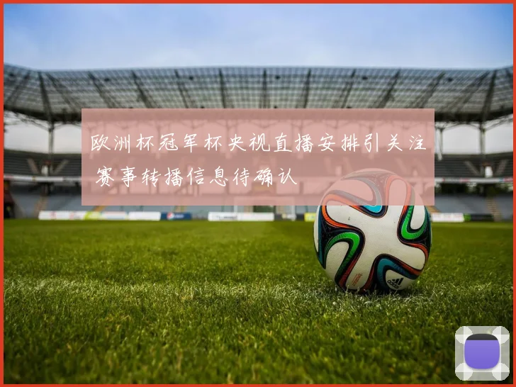 欧洲杯冠军杯央视直播安排引关注 赛事转播信息待确认