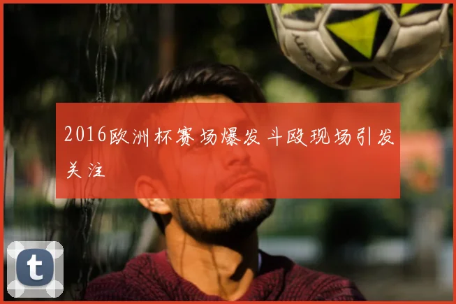 2016欧洲杯赛场爆发斗殴现场引发关注