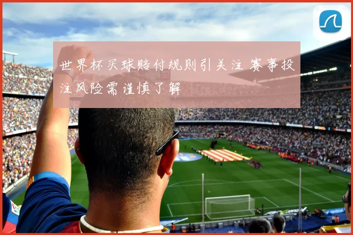 世界杯买球赔付规则引关注 赛事投注风险需谨慎了解