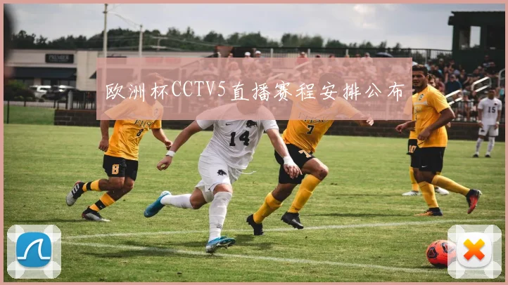 欧洲杯CCTV5直播赛程安排公布